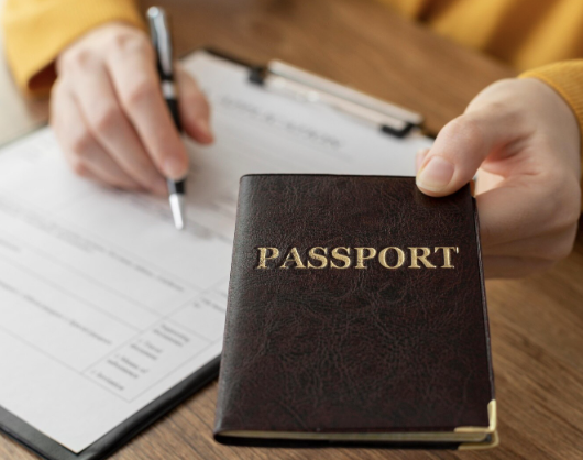 Pasaporte mexicano denegado por estar en el Registro Nacional de Obligaciones Alimentarias.