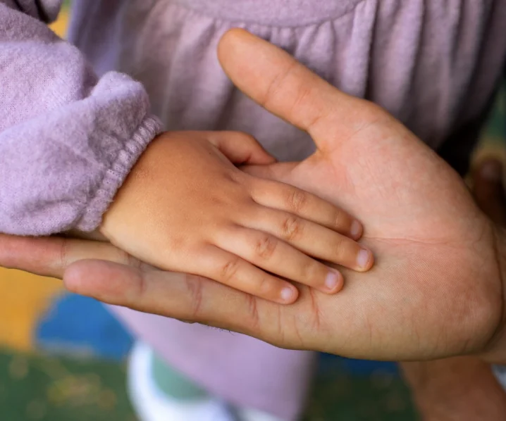 Pension Alimenticia Tabla Mexico: Montos Actualizados 2025