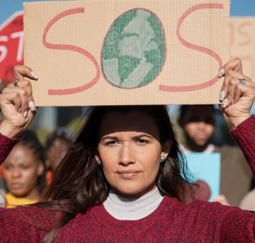 Esquema sanciones ambientales México PROFEPA multas derecho ambiental ESG 2025